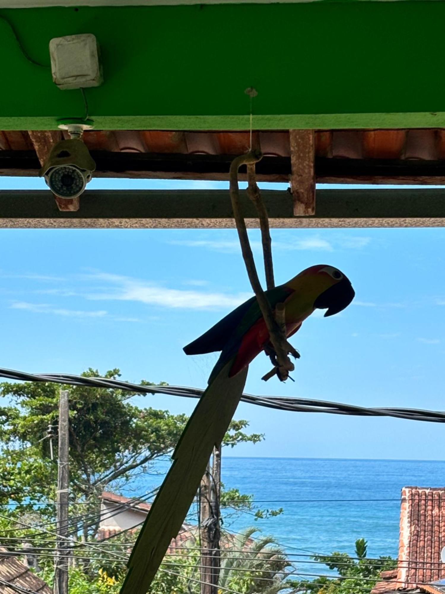 Pouso Da Celeste - Trindade Trindade  Bagian luar foto